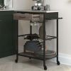 Multipurpose kitchen cart, wine rack and pantry, stainless steel and black metal, brown